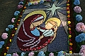 VBS_9823 - Infiorata Santuario della Madonnina di Villanova d'Asti 2024